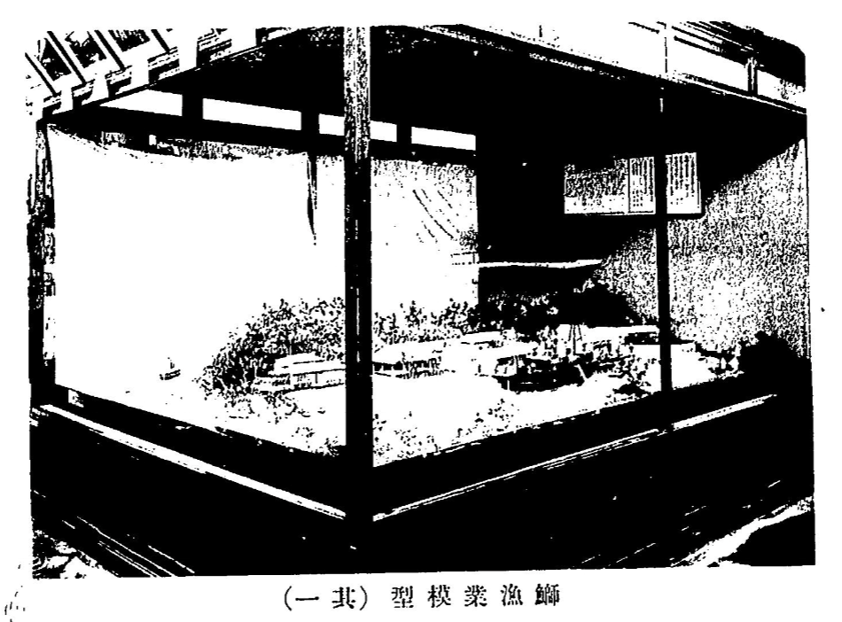 Improvements in knotless netting suitable for fishing and like purposes